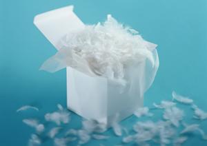 ガチャガチャの森：多彩なラインナップで子どもから大人まで楽しめる宝箱