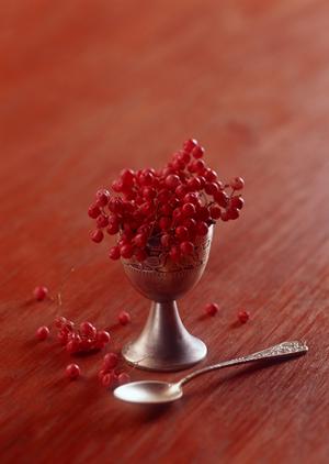 全室DAM完備！ビッグエコーで楽しむ最新カラオケ体験と充実の設備情報